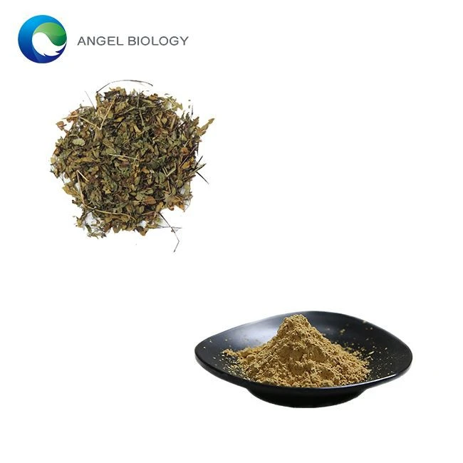 How Does Adiantum Capillus Veneris Leaf Extract Support Hair Health?